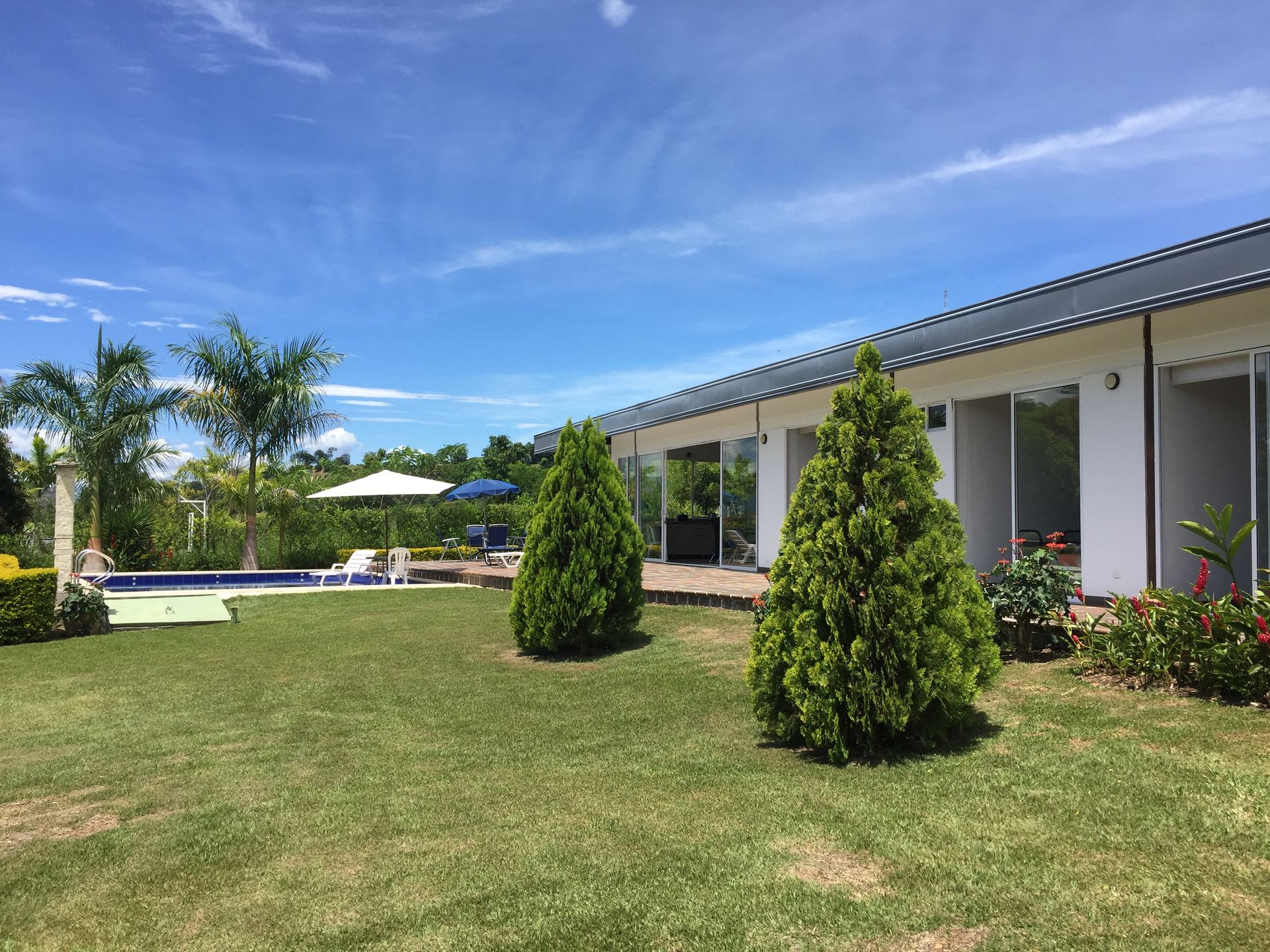 Piscina rodeada de pinos y vista a la montaña